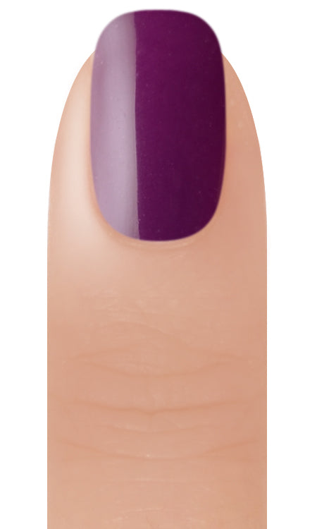 Beyond Couleurdip Powder #27 Eggplant 2 oz