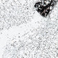 OPI Lac #L01 - Glitter to My Heart