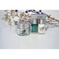 BangBang Trio Christmas Collection '23